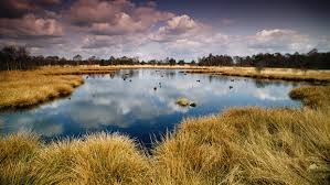 7 uur durende Vespa scootertocht door Belgisch Limburg