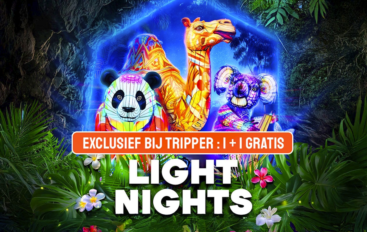 Entreeticket Light Nights Ouwehands Dierenpark