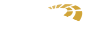 Holland Casino