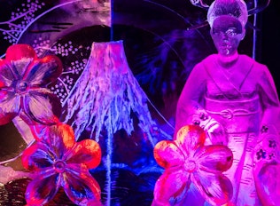 Entreeticket Het Nederlands IJsbeelden Festival