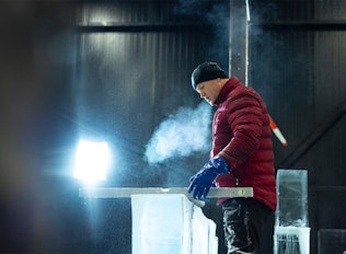 Entreeticket Het Nederlands IJsbeelden Festival