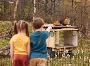 Verblijf in de vernieuwde accommodaties op Lake Resort Beekse Bergen