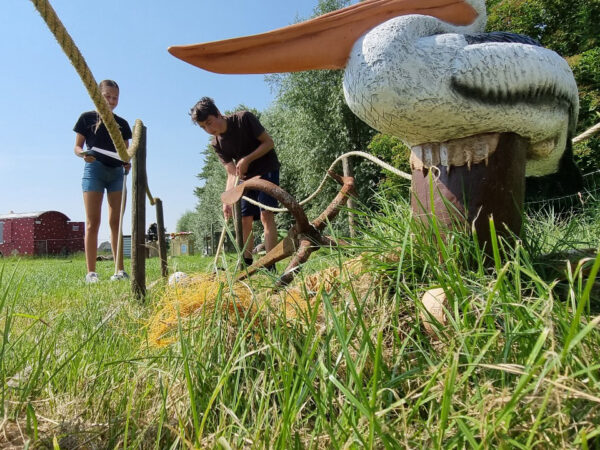 Entreeticket DoeZoo Insektenwereld