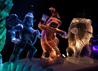 Entreeticket Het Nederlands IJsbeelden Festival