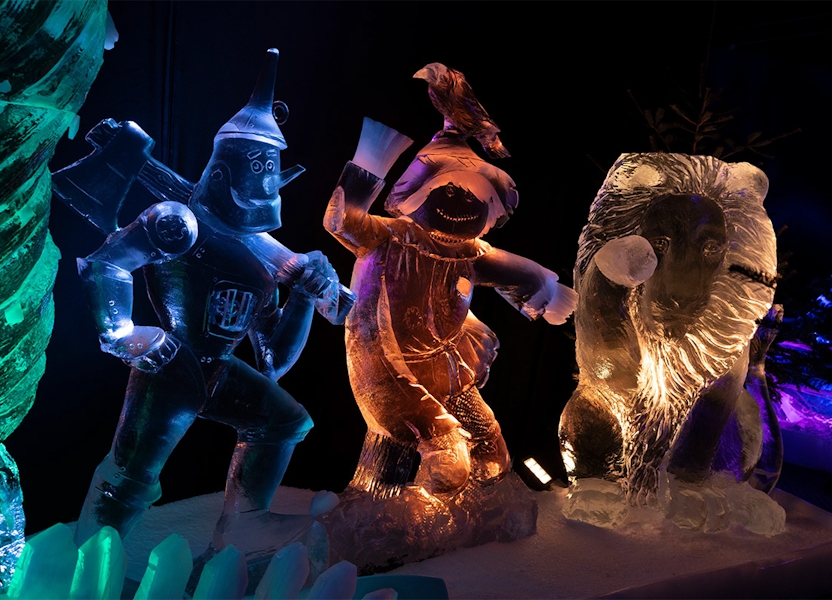 Entreeticket Het Nederlands IJsbeelden Festival