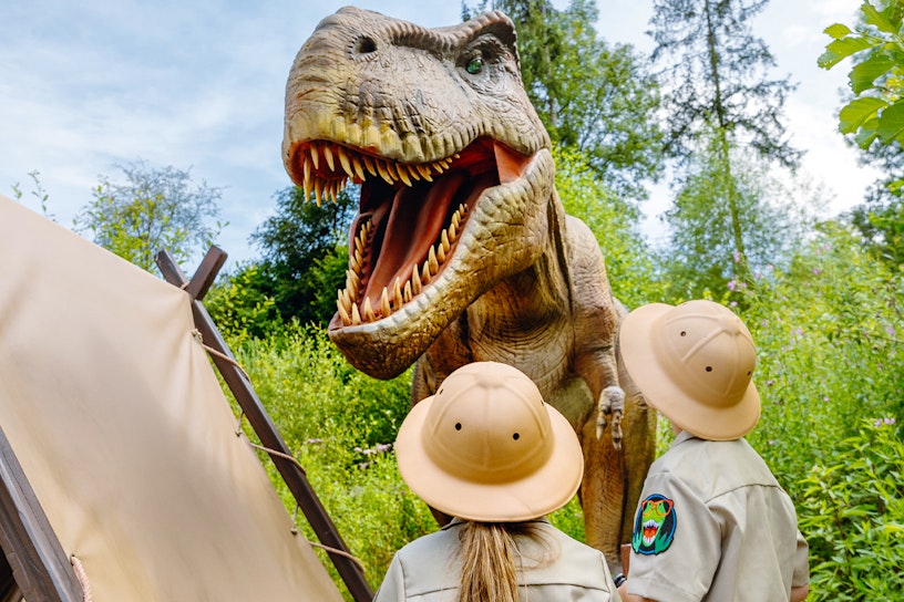 Pass Aventure pour Adventure Valley