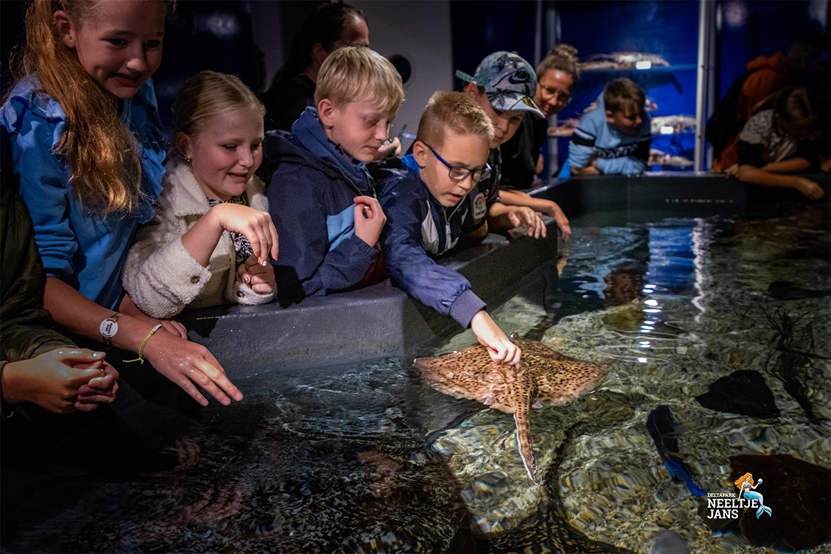 All-In entreeticket Deltapark Neeltje Jans