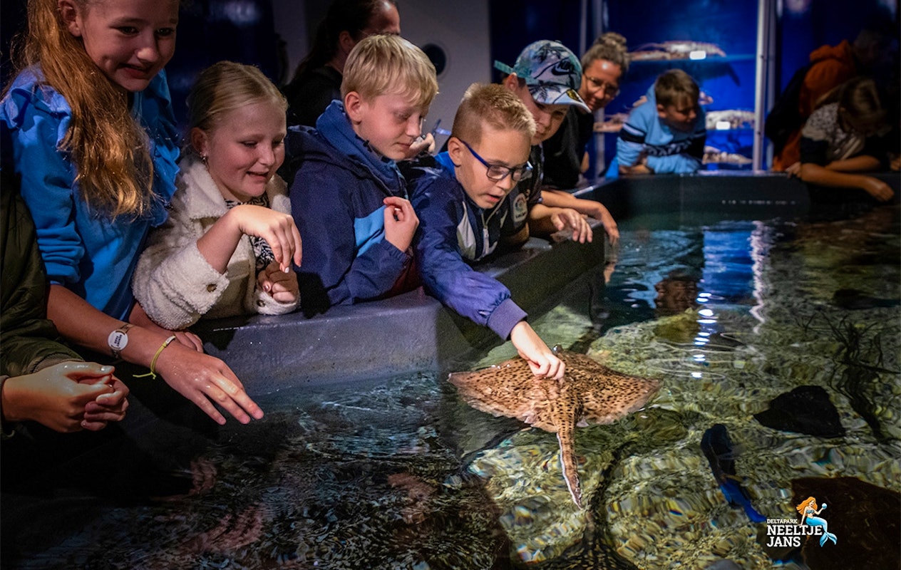 All-In entreeticket Deltapark Neeltje Jans