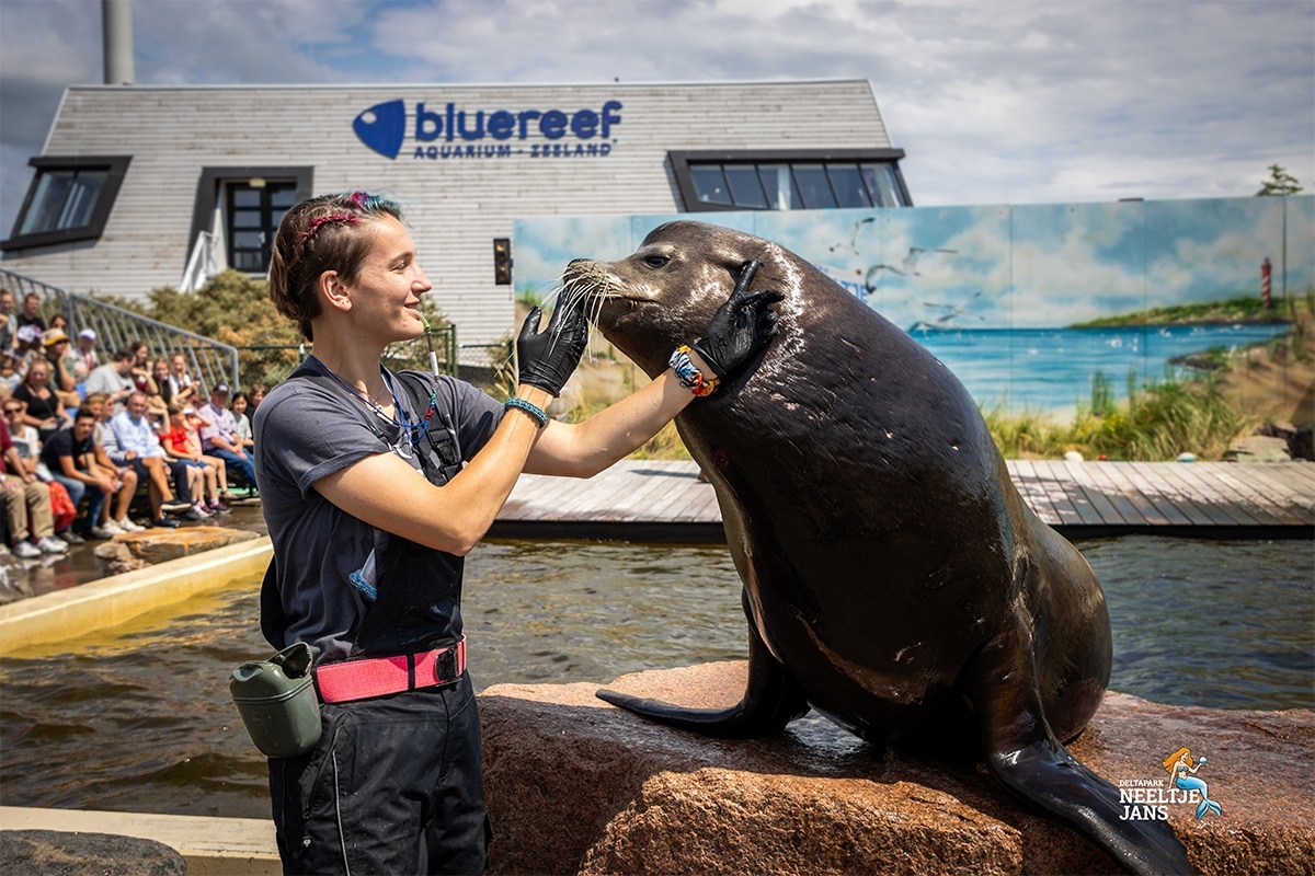 All-In entreeticket Deltapark Neeltje Jans