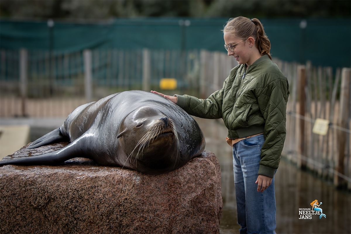 All-In entreeticket Deltapark Neeltje Jans