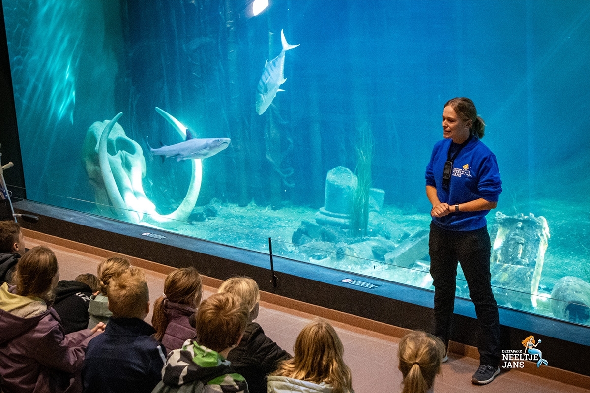All-In entreeticket Deltapark Neeltje Jans