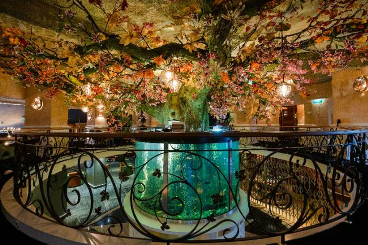 Onbeperkt genieten van culinaire gerechten bij Restaurant Infinity