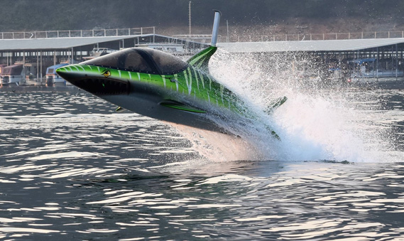 Als een vis in het water met deze SkyShark Experience!