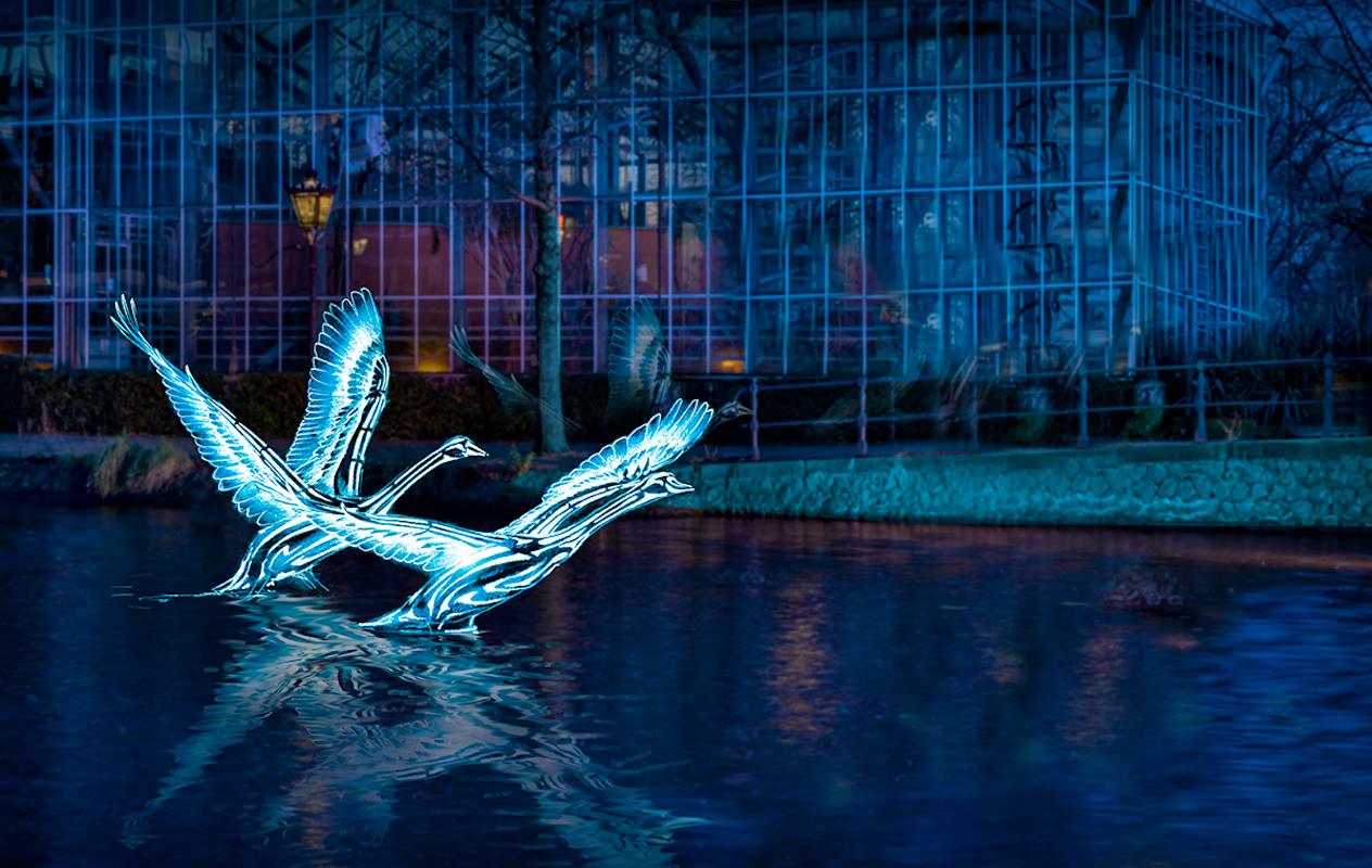 Rondvaart tijdens het Amsterdam Light Festival (90 min)