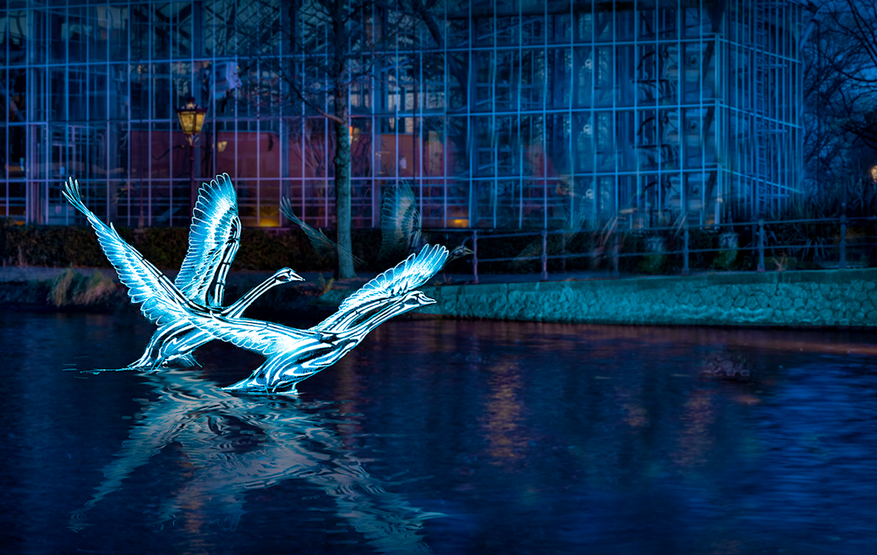 Rondvaart Amsterdam Light Festival + evt. snackbox (90 min)