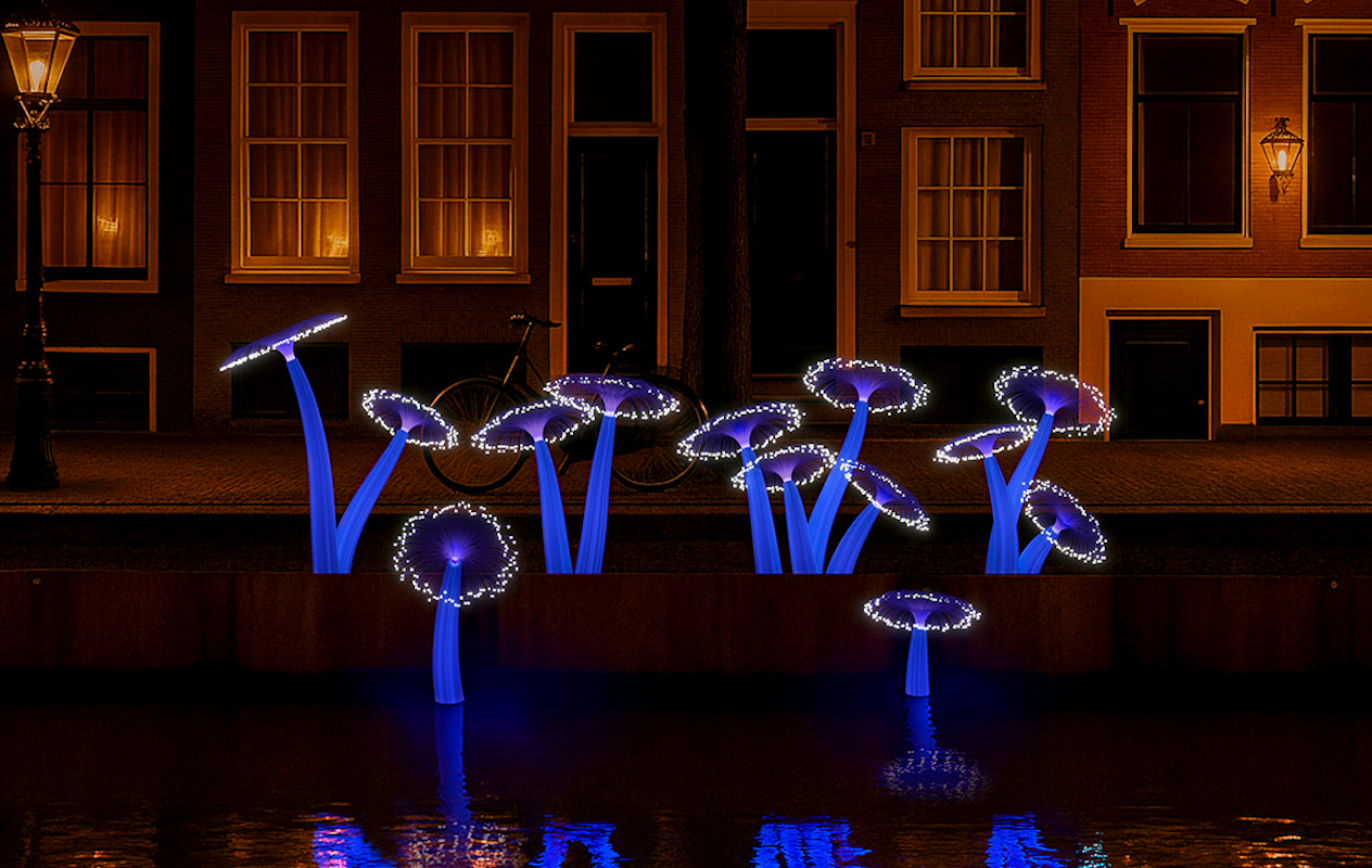 Rondvaart Amsterdam Light Festival + evt. snackbox (90 min)