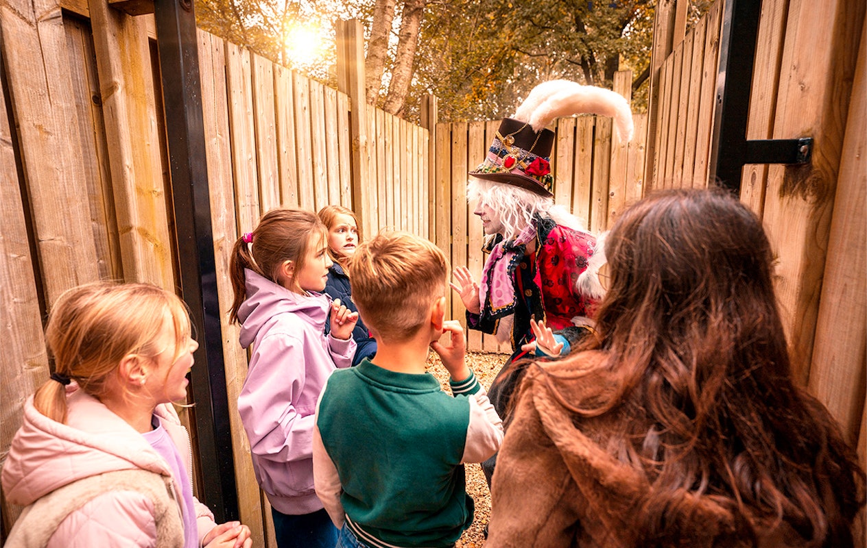 Entreeticket Halloween attractiepark Bobbejaanland