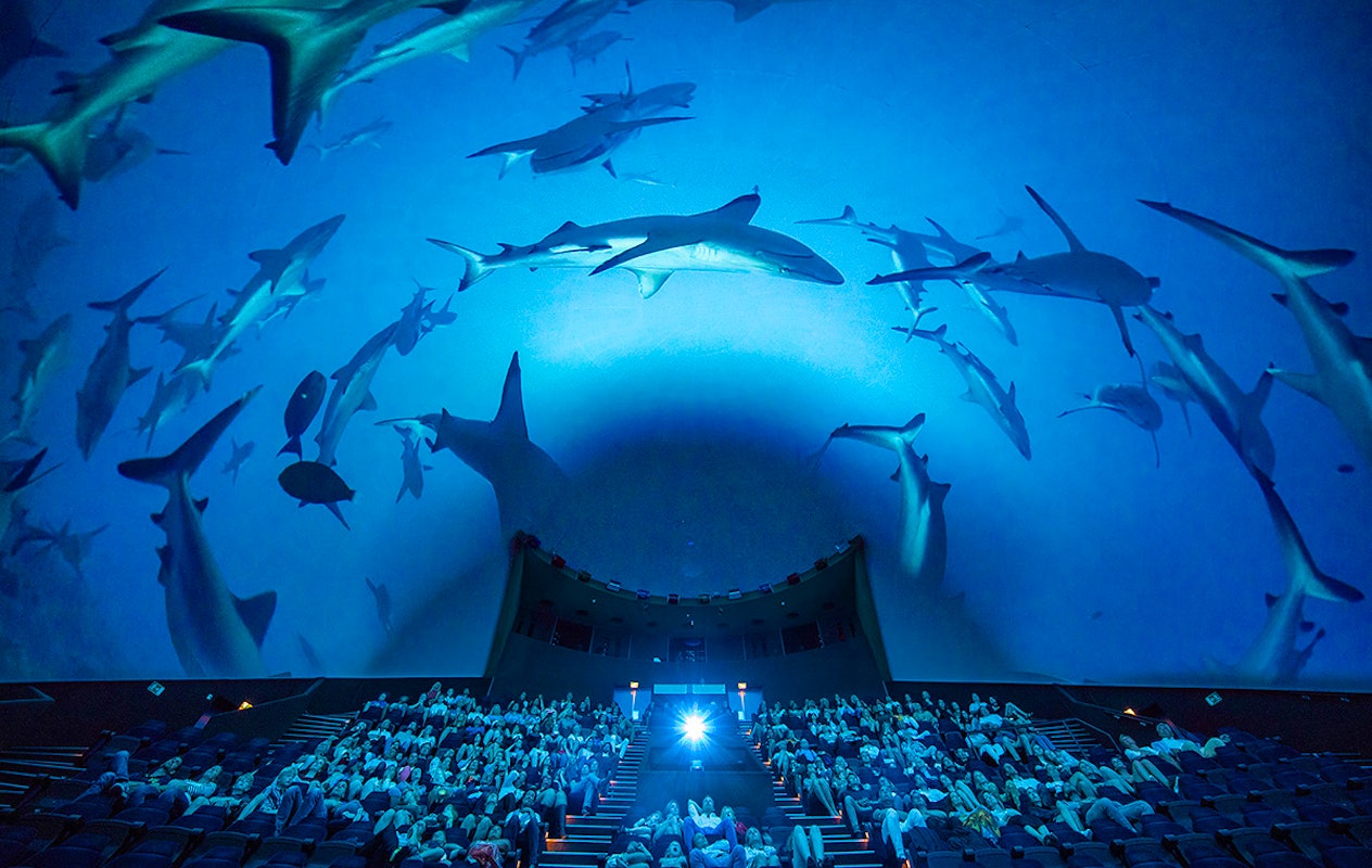 Entree Dome Museon-Omniversum na 17:00 uur