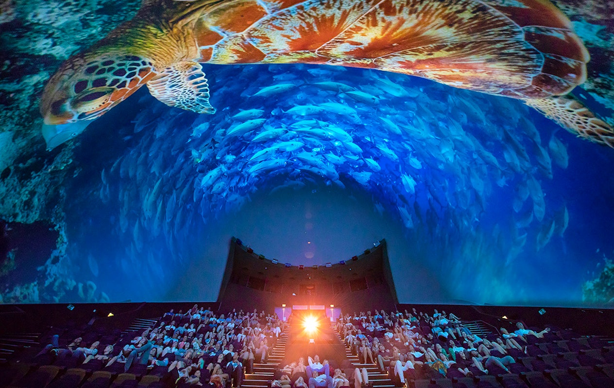 Entree Dome Museon-Omniversum na 17:00 uur