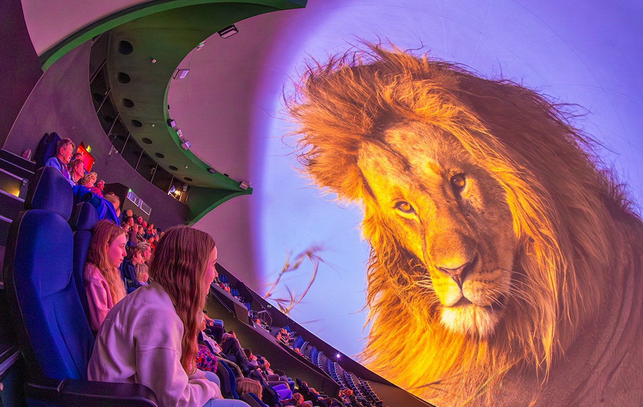 Entree Dome Museon-Omniversum na 17:00 uur