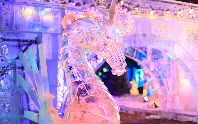 Bewonder prachtige ijssculpturen tijdens het Cool Event in Scheveningen