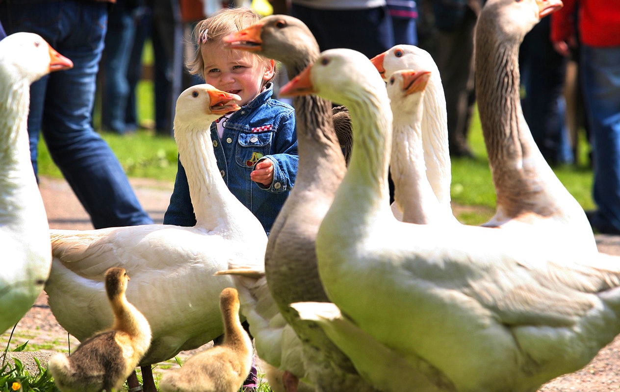 Entreeticket Kasteel Hoensbroek