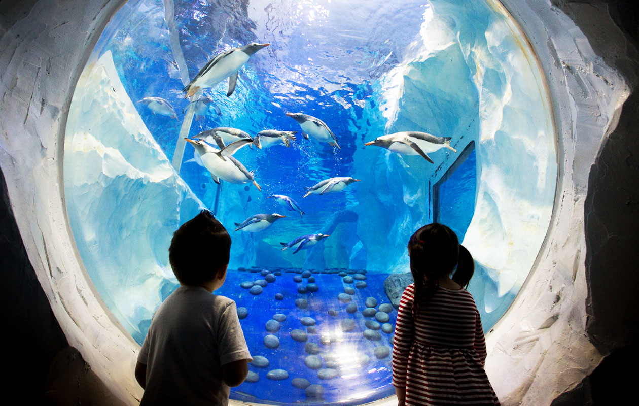 Entreeticket voor SEA LIFE Parijs