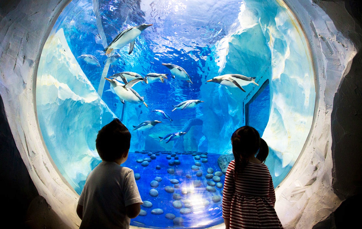 Entreeticket voor SEA LIFE Parijs