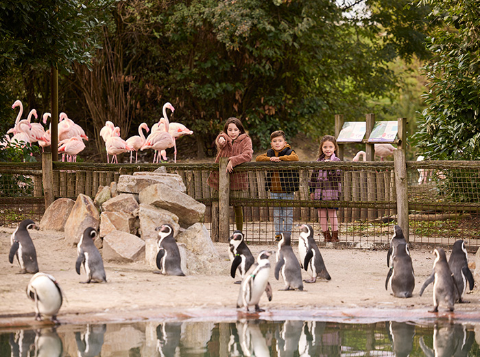Waar ga jij heen tijdens de herfstvakantie? 