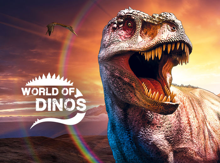 Vier vakantie in eigen land! 