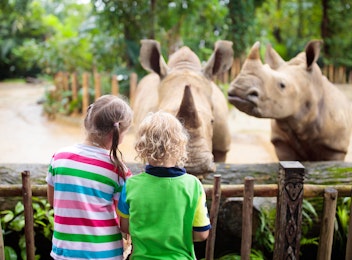 Een heerlijke dag weg naar de dierentuin tijdens de voorjaarsvakantie