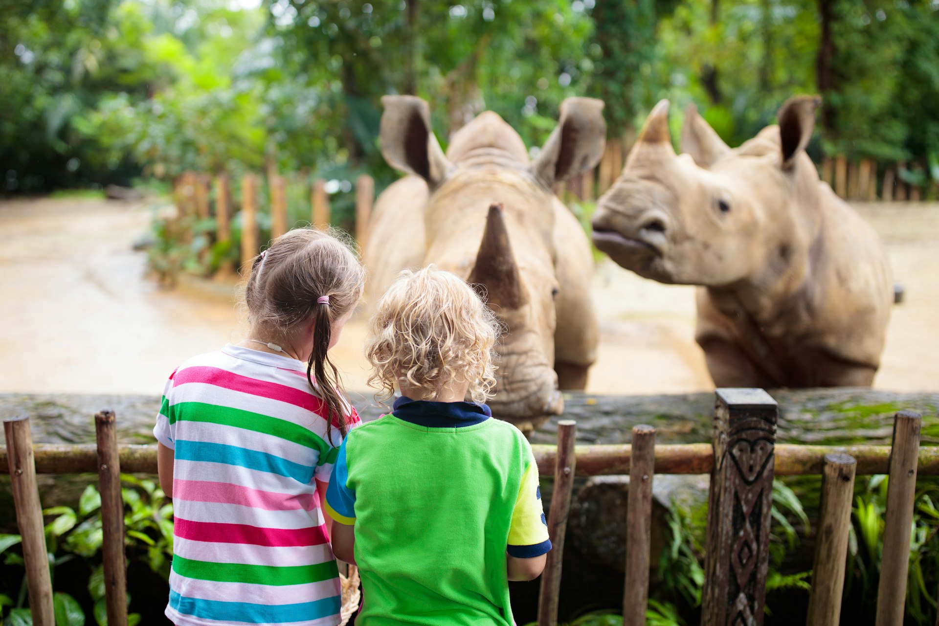 Een heerlijke dag weg naar de dierentuin tijdens de voorjaarsvakantie