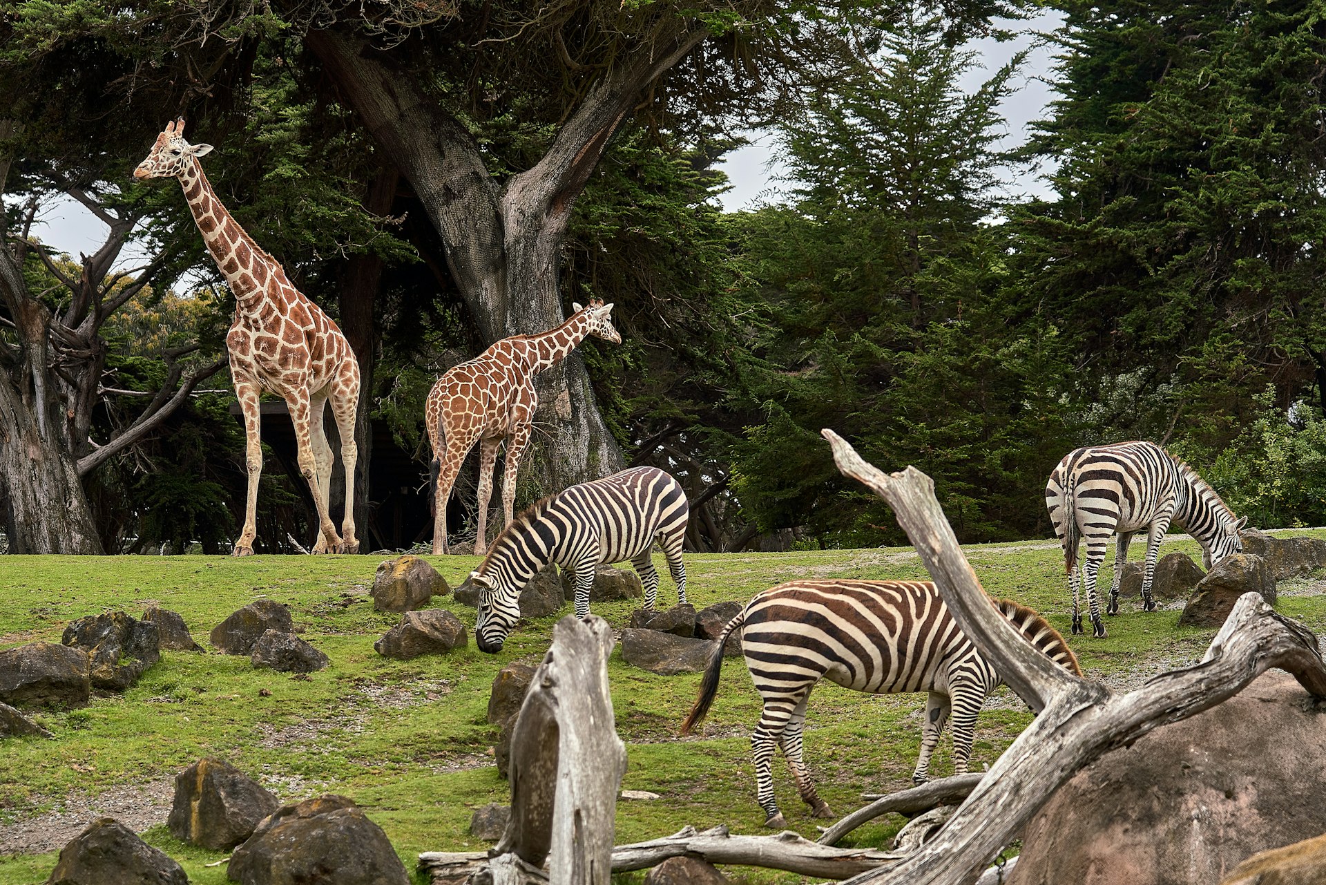 6x de leukste dierenparken! 