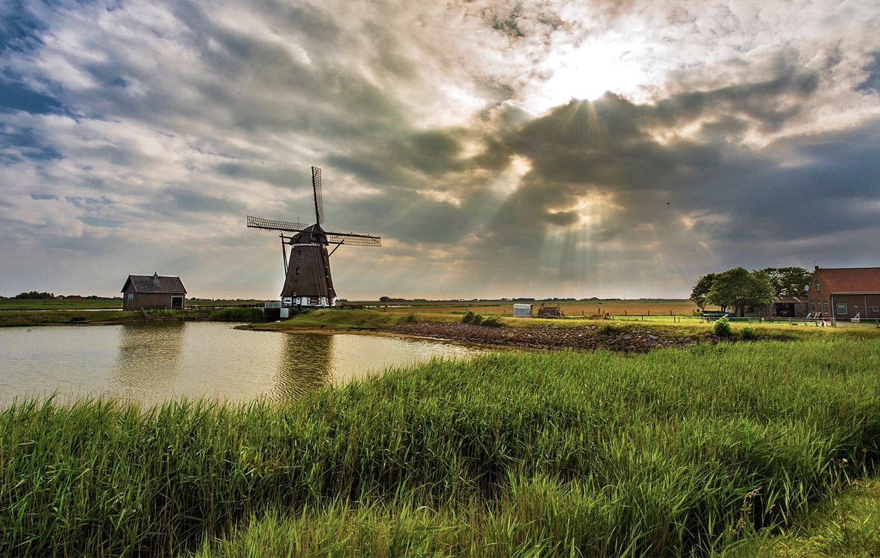 Rondvaart over de prachtige Kagerplassen vanuit Leiden