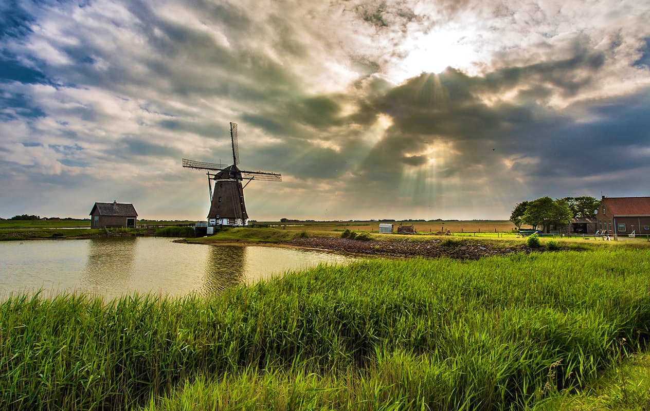Rondvaart over de prachtige Kagerplassen vanuit Leiden