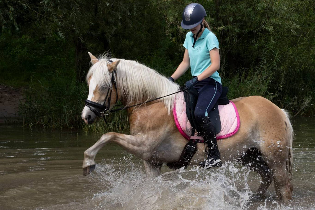 Bos- of waterrit te paard bij Stal Kuijper (3 à 4 uur)