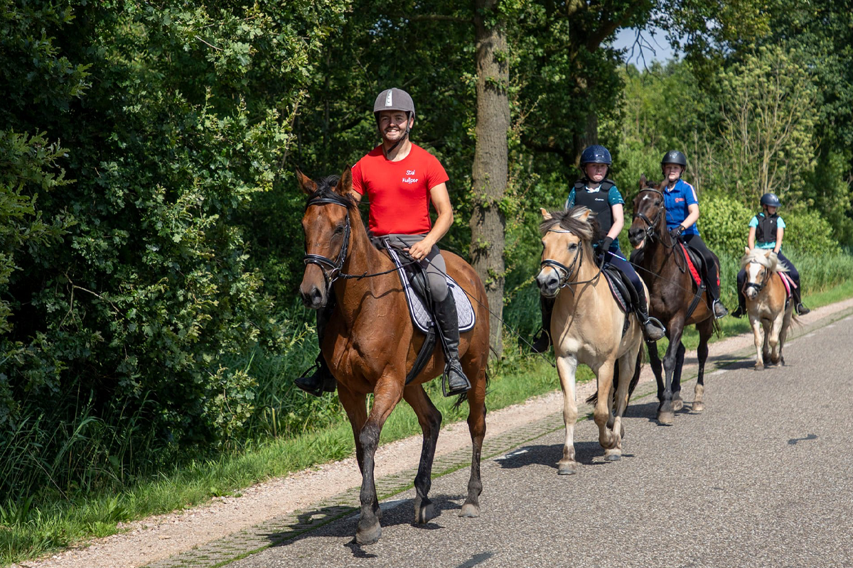 Bos- of waterrit te paard bij Stal Kuijper (3 à 4 uur)