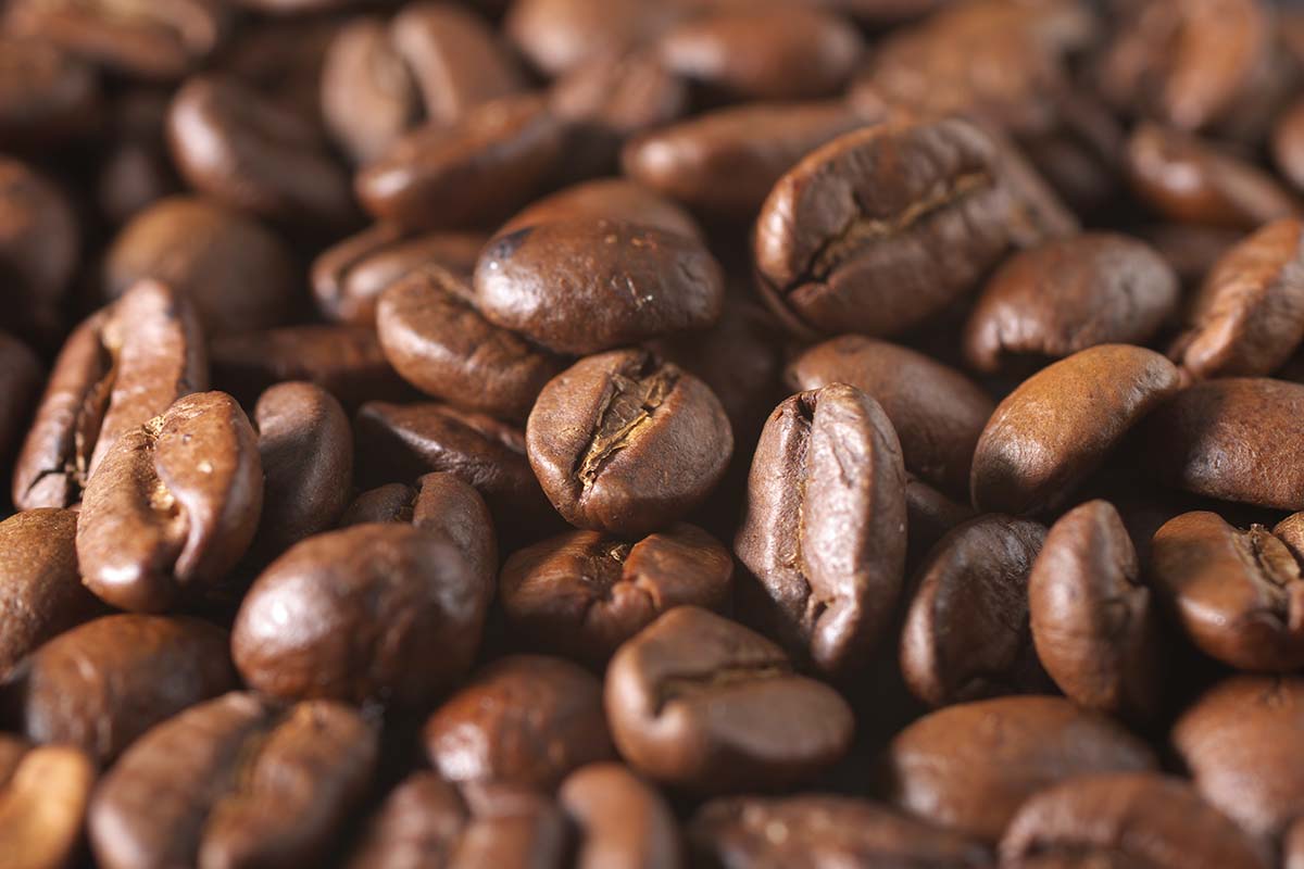 Chocoladeproeverij + rondleiding in het Cacaomuseum