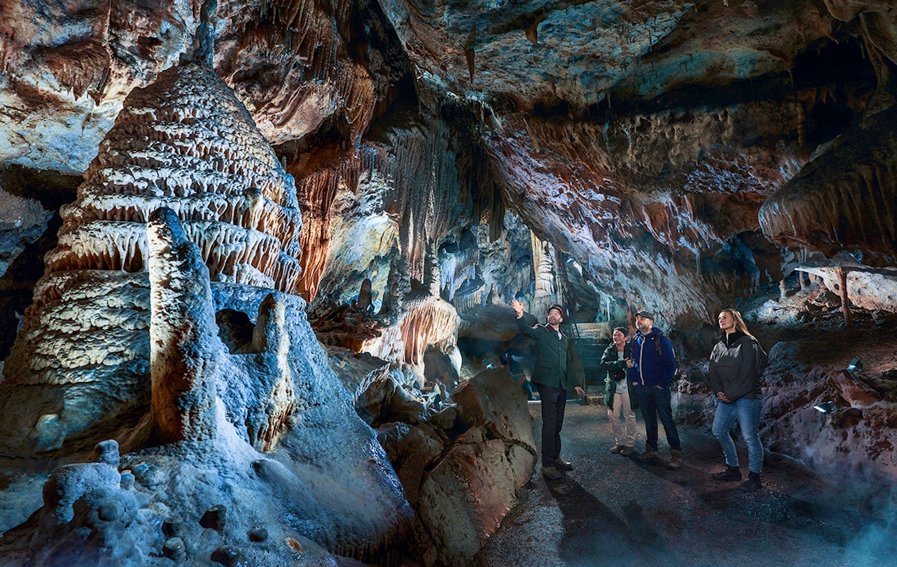 Combiticket Grotten van Han en het Wildpark in België