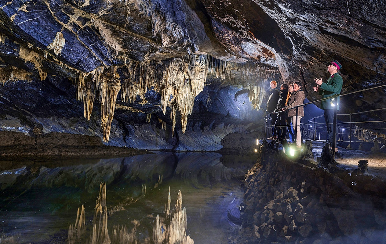 Combiticket Grotten van Han en het Wildpark in België