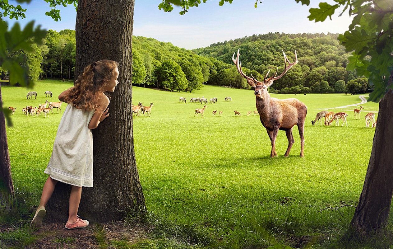Combiticket Grotten van Han en het Wildpark in België