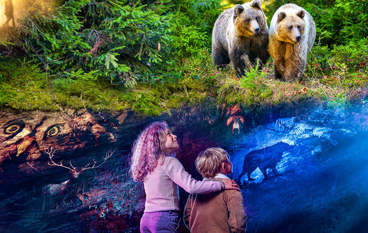 Découvrez les Grottes de Han et le parc animalier en Belgique