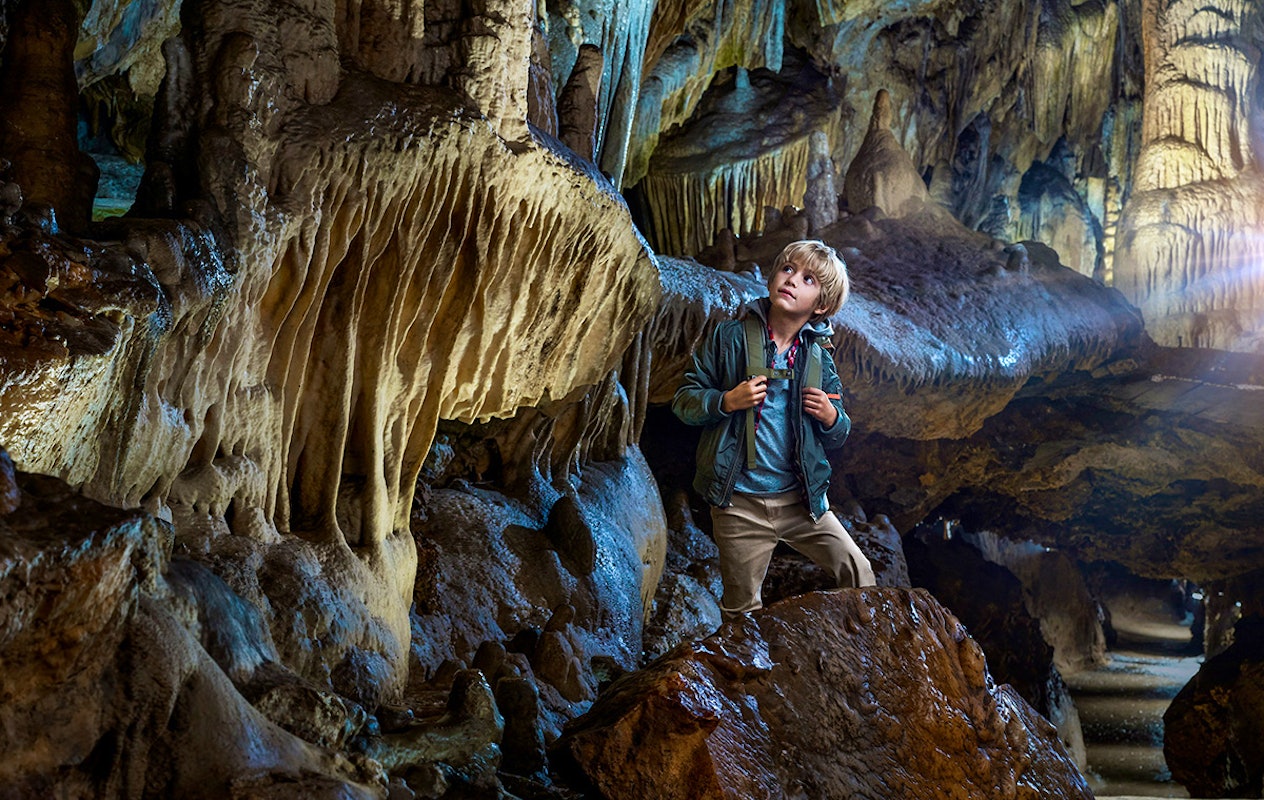 Combiticket Grotten van Han en het Wildpark in België