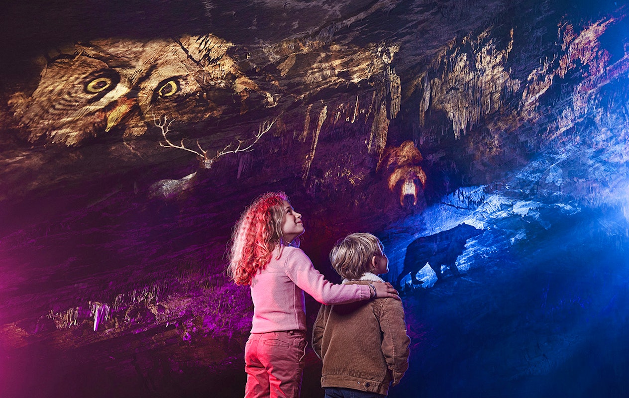 Combiticket Grotten van Han en het Wildpark in België