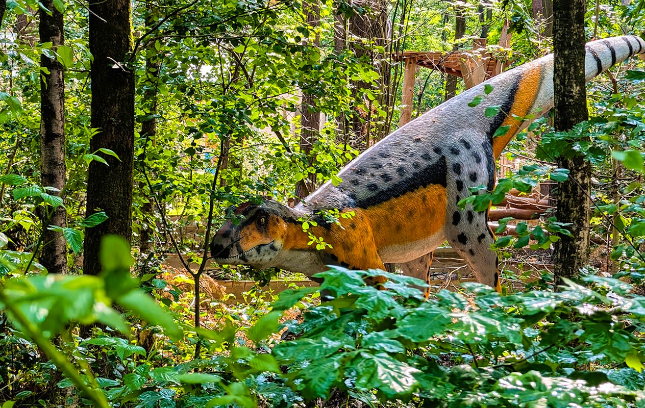 Combiticket Spelebos