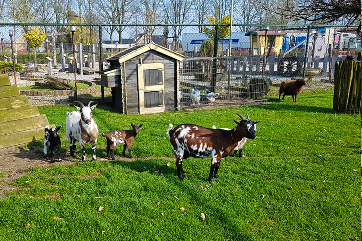 Entreeticket Cowboy & Indianen Speelreservaat