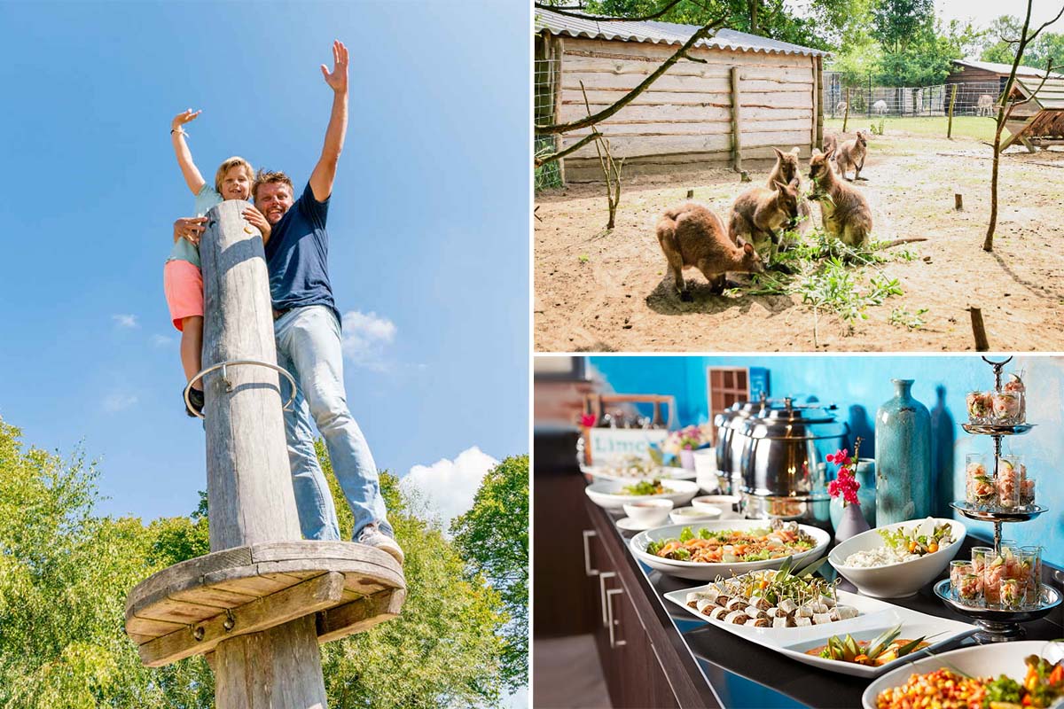 Dagentree incl. all you can eat & drink bij Hof van Eckberge