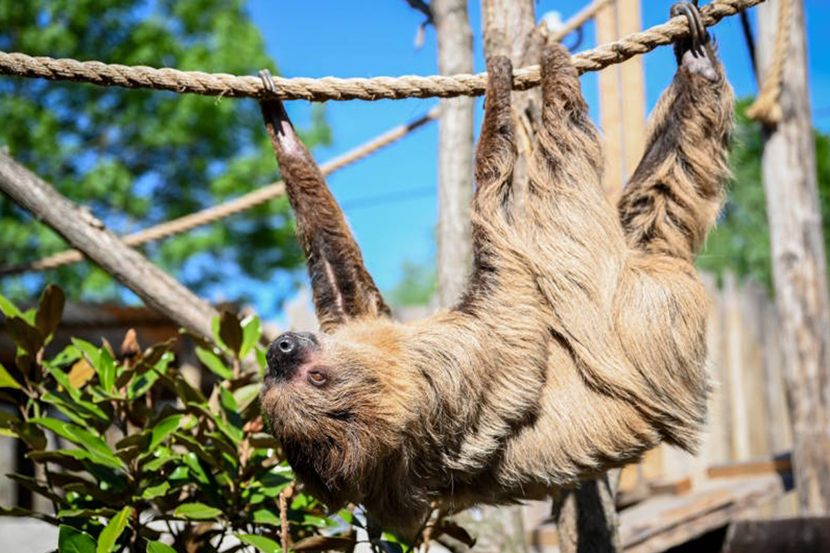 Dagentree incl. all you can eat & drink bij Hof van Eckberge