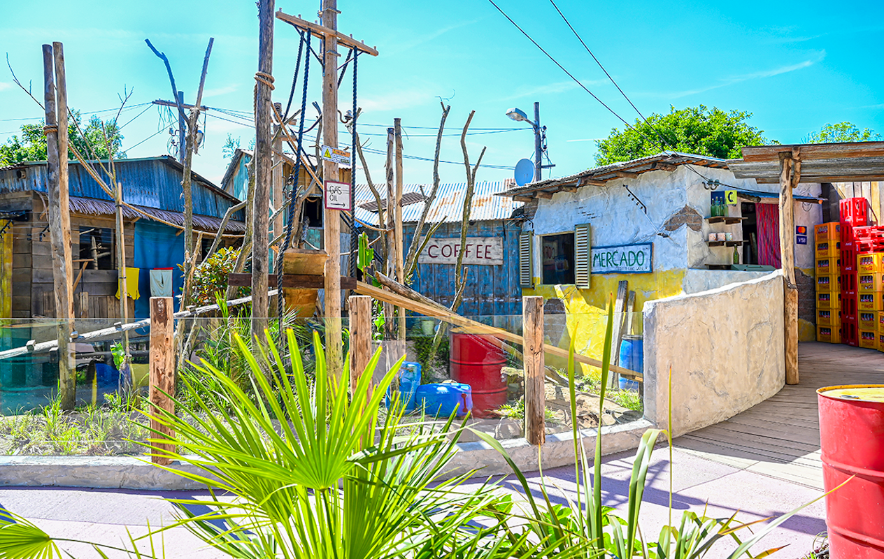 Dagentree incl. all you can eat & drink bij Hof van Eckberge