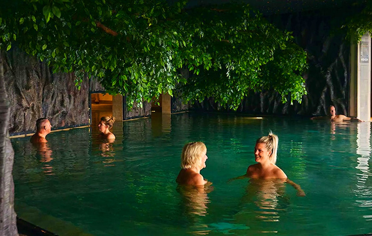 Dagentree Veluwse Bron